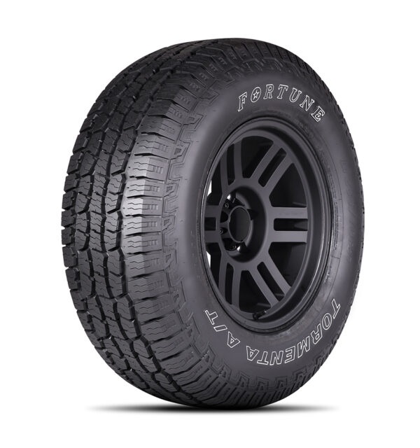 Fortuna-FSR308-Tormenta-AT-1