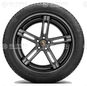 Continental ContiWinterContact TS830P 245/35 R19 93V