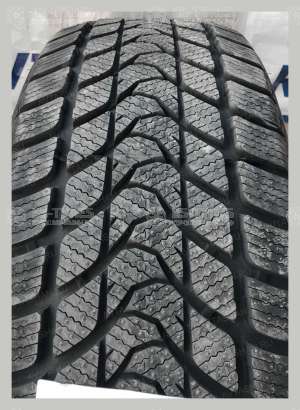 Delinte Winter WD1 225/45 R17 94T