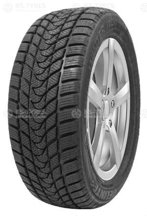 Delinte Winter WD1 225/45 R17 94T