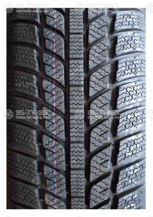 Evergreen Winter EW62 175/70 R14 88T