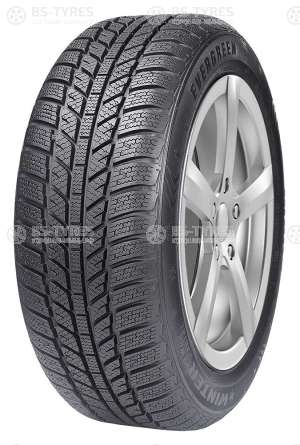 Evergreen Winter EW62 175/70 R14 88T