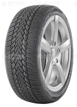 FronWay Icemaster I 245/45 R18 100H