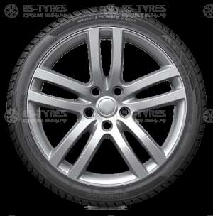Hankook Winter I*Cept Evo 2 W320 255/45 R19 104V