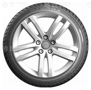 Rydanz Nordica NR01 275/45 R20 110V