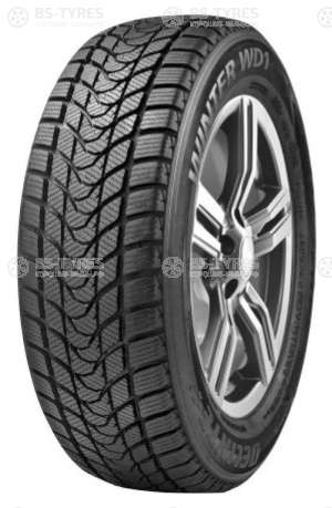 Delinte Winter WD1 225/45 R17 94T