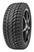 Delinte Winter WD6 225/55 R16 99V